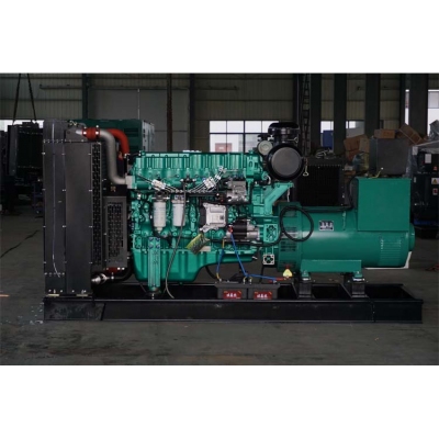 300kw玉柴柴油發(fā)電機(jī)組-玉柴6缸柴油機(jī)YC6MJ500-D30 柴油發(fā)電機(jī)組,缸徑/行程：131/145mm,柴油發(fā)電機(jī)組水冷發(fā)動(dòng)機(jī)功率367KW,柴油發(fā)電機(jī)組配套馬拉松斯坦福發(fā)電機(jī)。廠價(jià)直銷歡迎選購：13773399855。